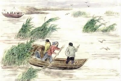 白洋淀纪事读书笔记