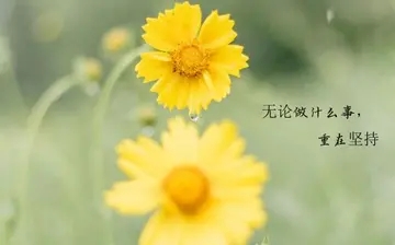 励志语录文案唯美