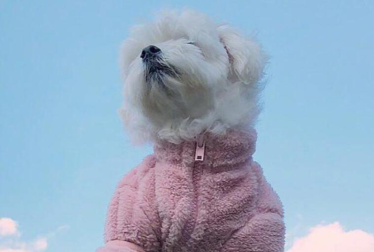 激励成功的精辟语录文案