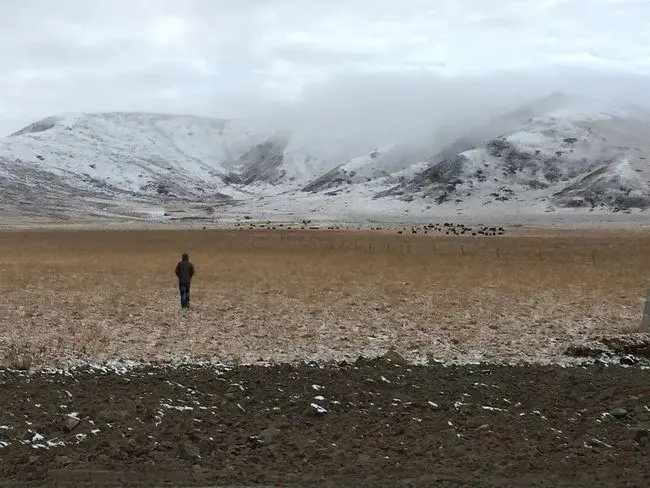 看透了人间的沧桑的句子文案