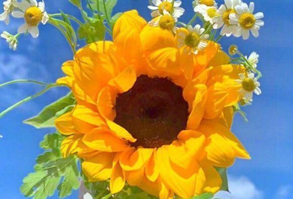 开心快乐的祝福语五字