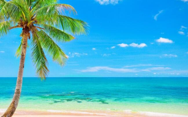 看见大海心情美的句子文案