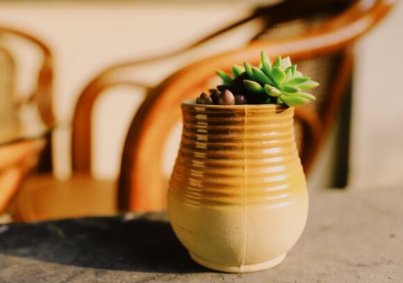 气质个性签名短句