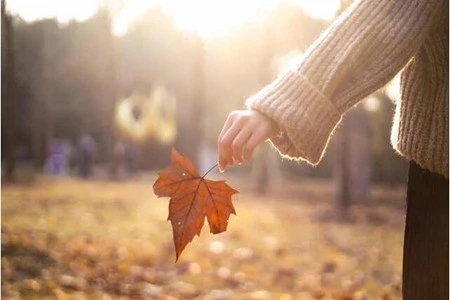 好烦好烦好烦说说文案