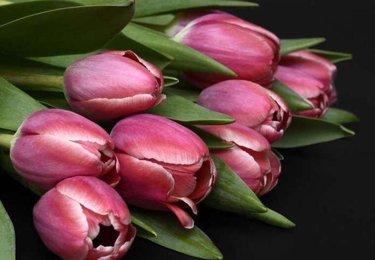 祝你生日快乐的祝福语