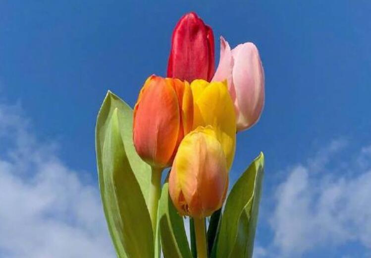 给自己早安的一句话