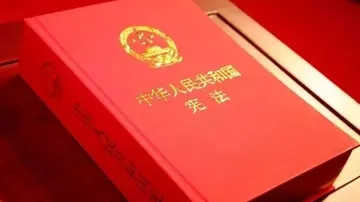 关于宪法的知识的名言