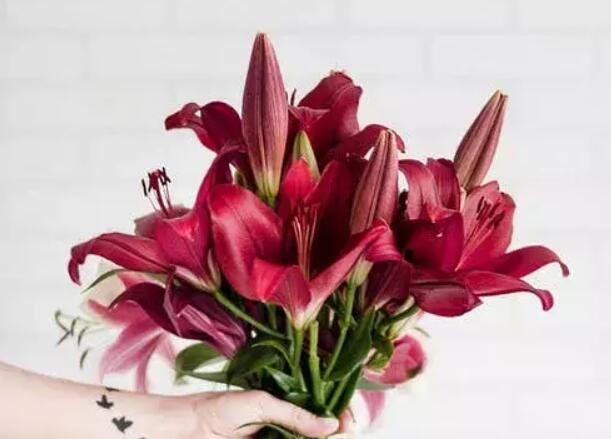 不懂珍惜不配拥有的句子文案