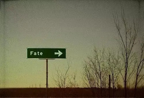 对未来生活向往的短句