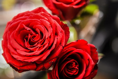 爱情悲伤句子文案短句唯美