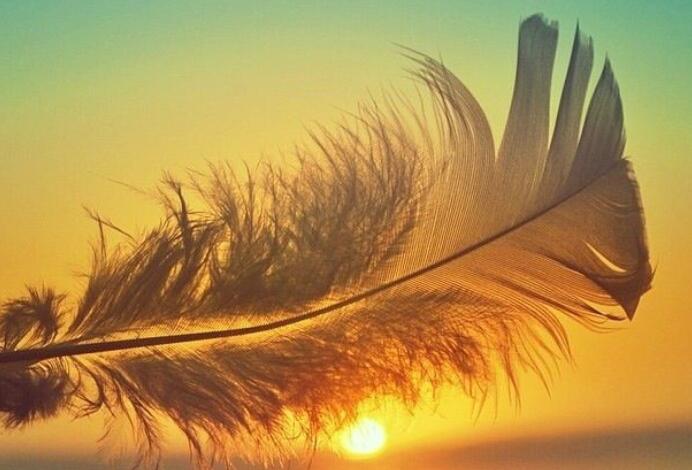 积极向上有诗意的句子文案