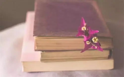 最精辟的人生深奥哲理感悟句子文案