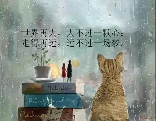 发一条自己傻的朋友圈