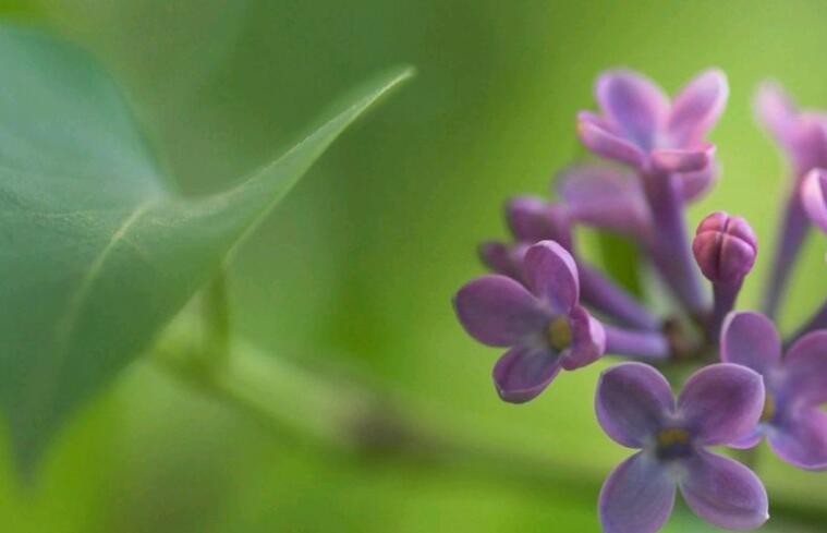 写说反话的句子文案