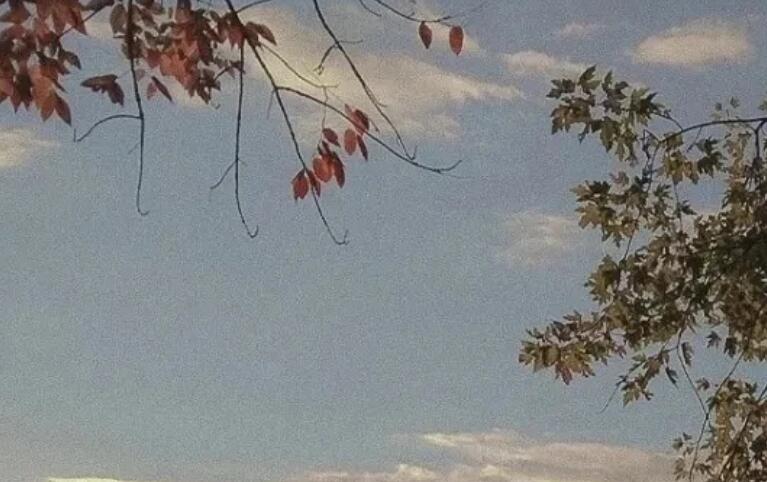 深爱思念一个人的句子文案