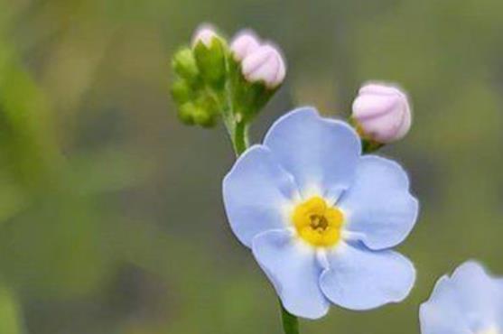 关于七月的唯美句子文案