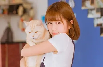 感觉自己没能力的说说文案