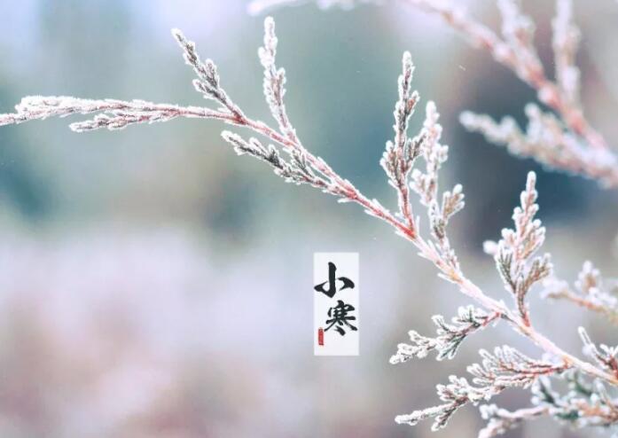 描写小寒太暖和的句子文案