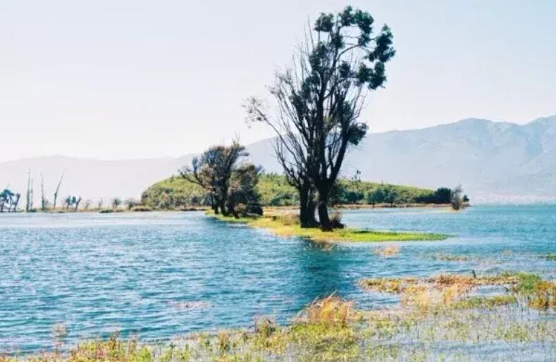 描写四月的优美段落