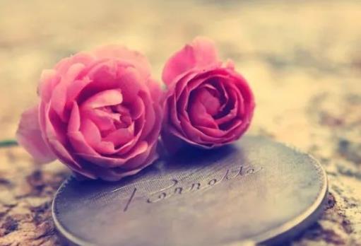 拒绝处cp的句子文案