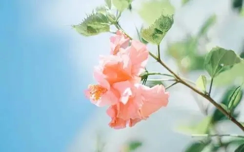 励志充满正能量的说说文案