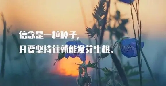 成年的经典语录文案