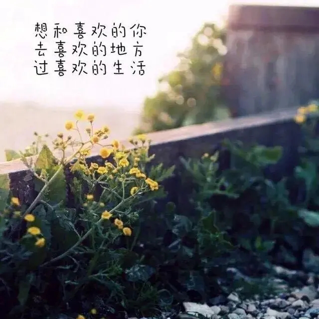 幸福发朋友圈的句子文案