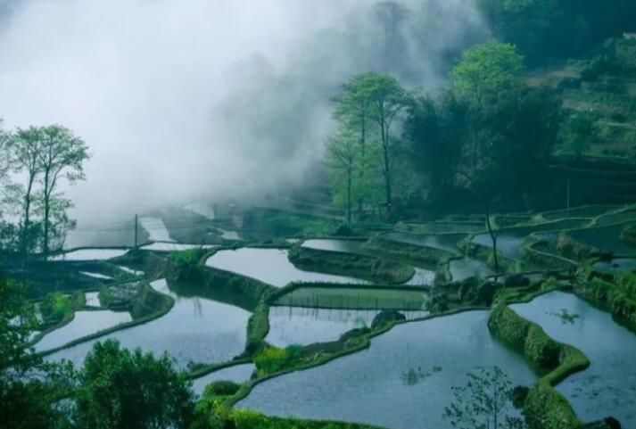 祭祖思念亲人的诗句文案