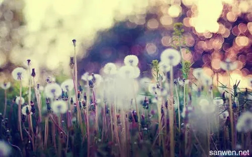 开心的句子文案经典语句