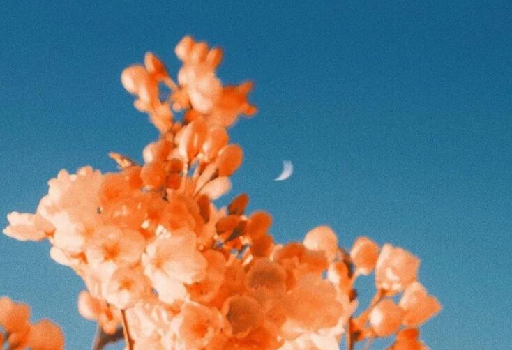 有关成长代价的句子文案