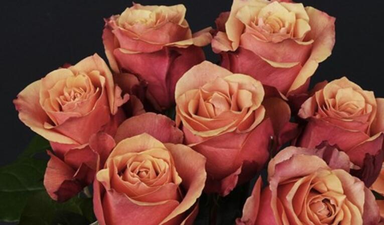 看着心爱的人难过句子文案