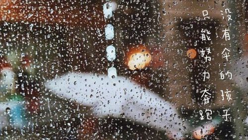 关于下雨的诗句文案