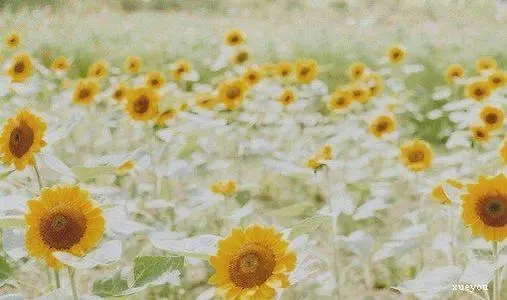 感谢多次回头客的说说文案