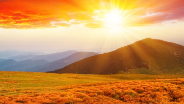 善良却不被善待的句子文案