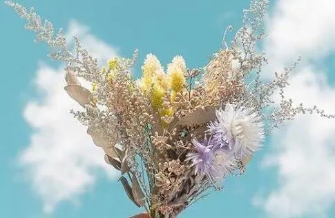 改变自己正能量的句子文案