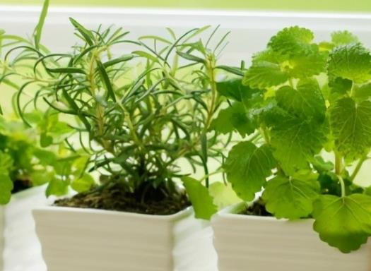 回忆时光的文案