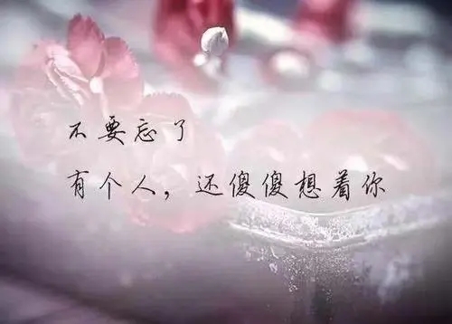 最能打动女孩子的情话文案