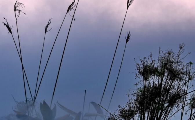 表达心里难受的伤感说说语录文案