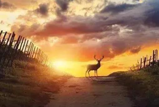 抖音说说文案心情