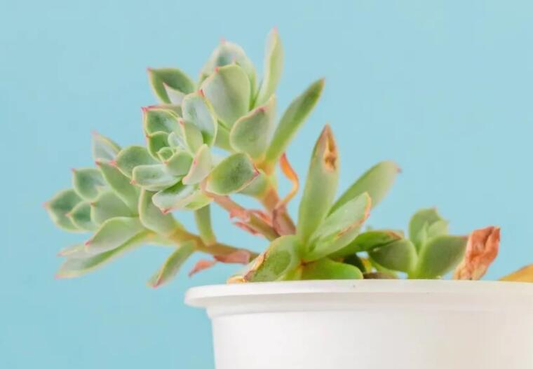 深情短句的个性签名