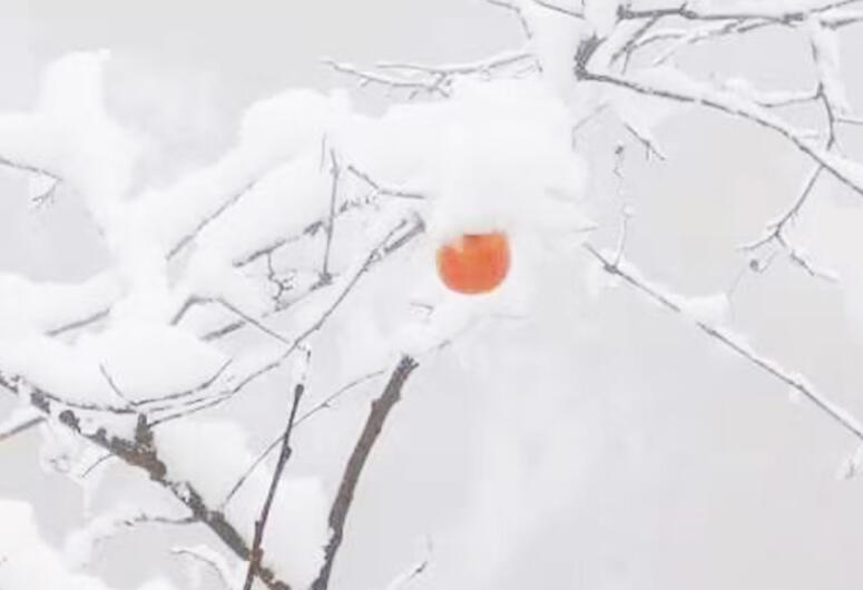 描写冬天山上的景色的句子文案