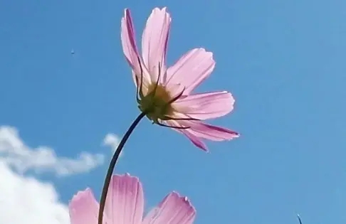 美好的一天结束了短语