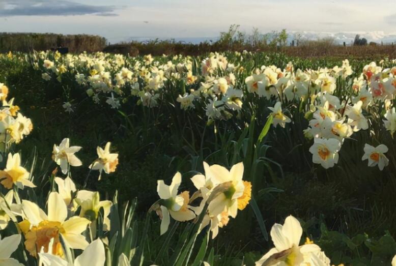 恋爱的早安问候语