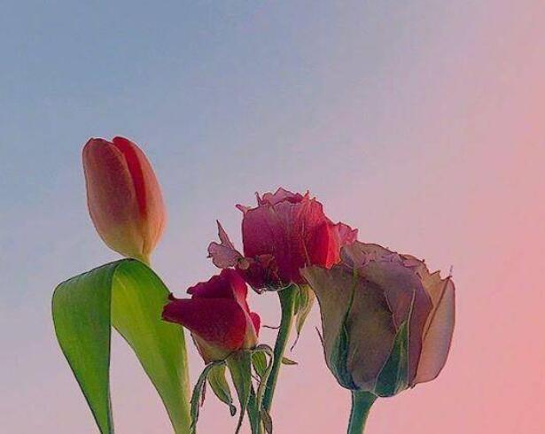 文字图片励志唯美