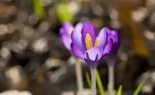 现实扎心句子文案关于生活