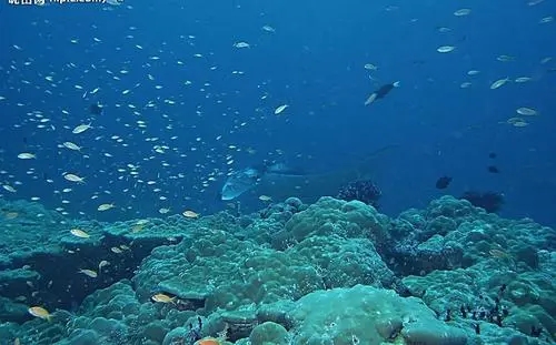 形容海的唯美句子文案