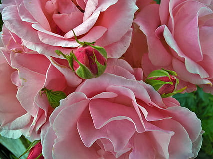 追女孩情话文案最暖心情话文案