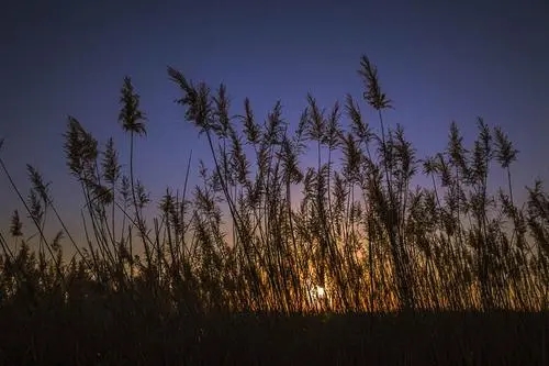 吹着晚风散步说说文案
