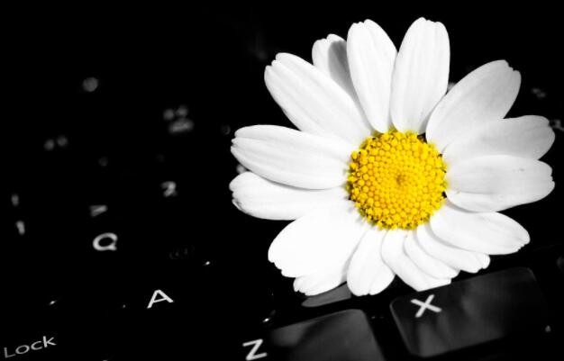 超级唯美的短句