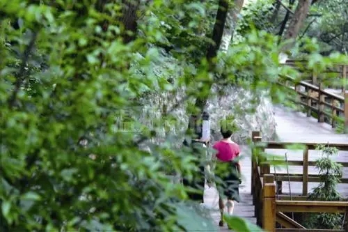 关于山间的小清新句子文案